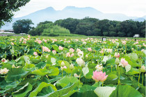 森山町エリアの画像