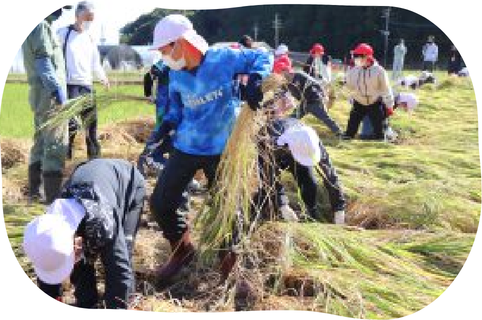 イメージ画像：市内には地域の特色を活かした教育