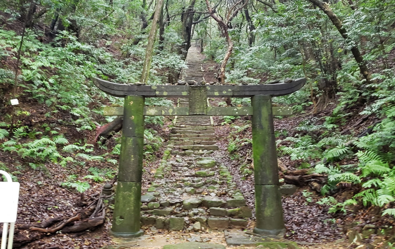 写真：上山公園