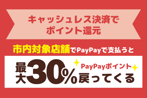 キャッシュレス決済ポイント還元