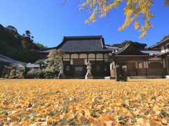 神社・仏閣の画像