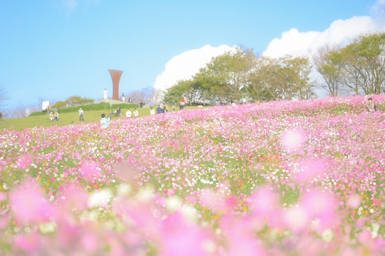 フロントページ　白木峰高原