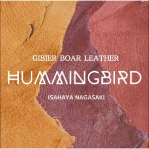 hummingbirdのイメージ