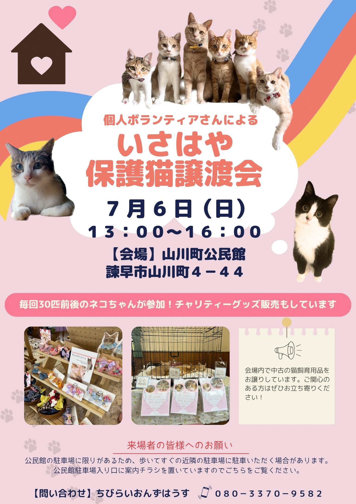 猫譲渡会チラシ