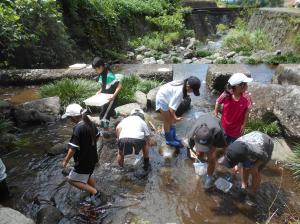 水生生物採取
