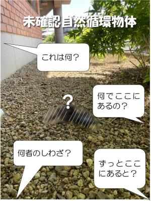 参考画像