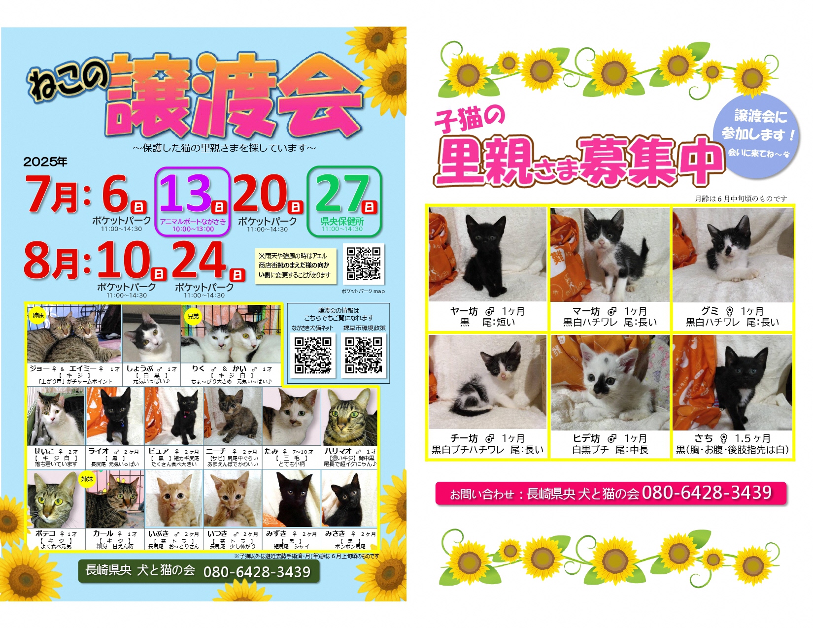 譲渡会チラシ