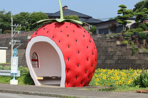 イチゴのバス停とヒマワリ