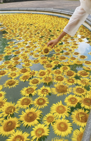 花手水