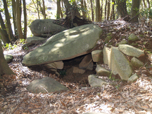 山林の中の柏原古墳群の写真