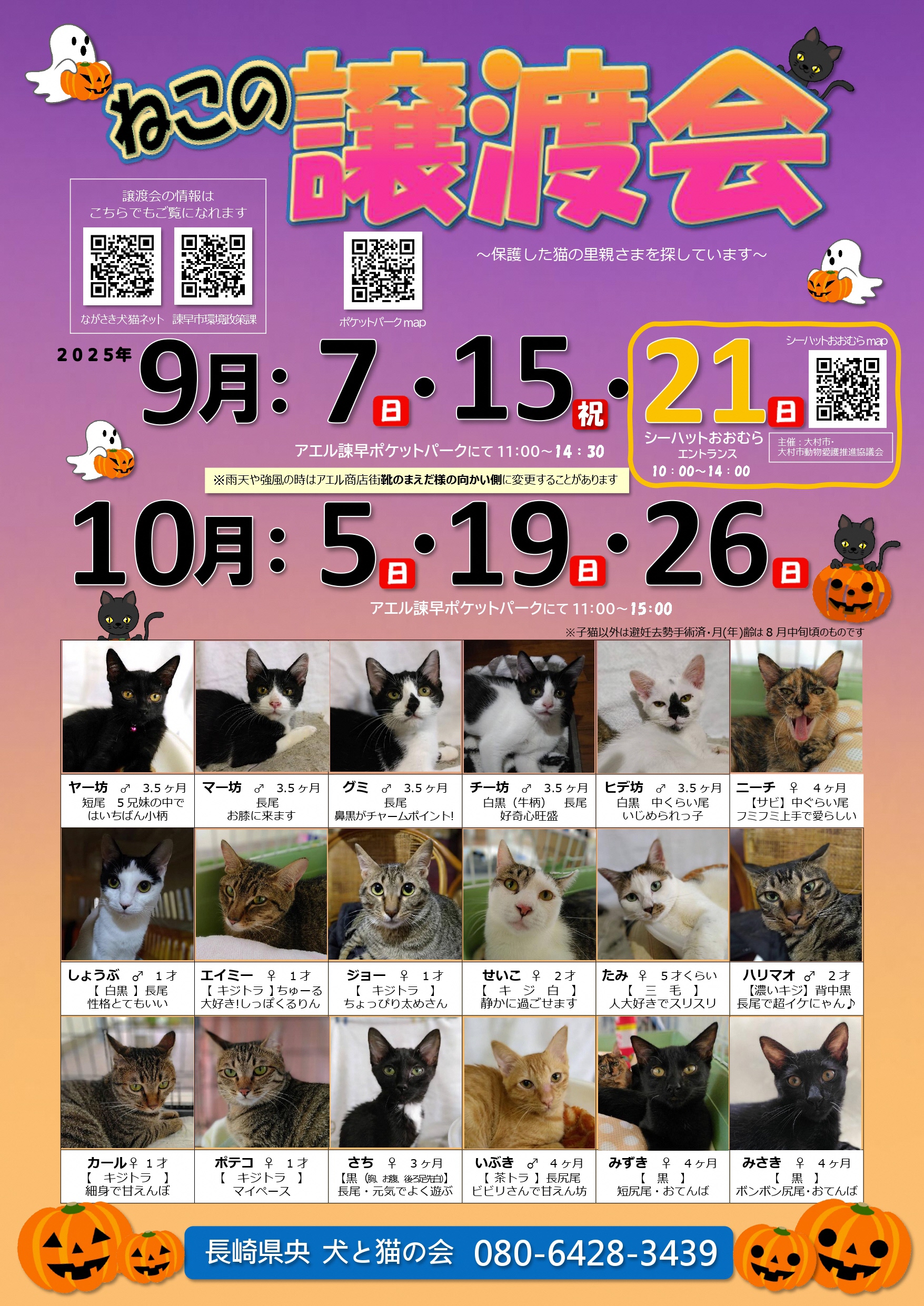 ねこ譲渡会