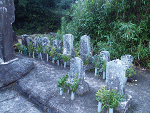 上井牟田の歴代庄屋の11人の墓を写した写真