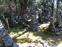 土橋貞恵墓地の墓石がたくさん写っている写真