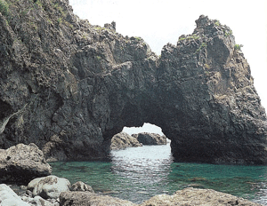 青い海の中に川下の牛のはなぐりがある写真