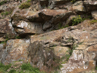 久山の磨崖仏三十三観音が彫刻されている岩を写している写真