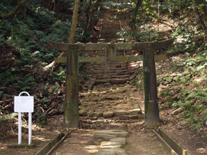 周りに草木がある中に立つ愛宕山の肥前鳥居とその後ろに階段が写っている写真