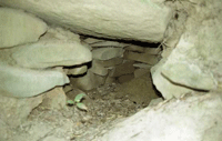 城山古墳群に寄って穴から中を写している写真