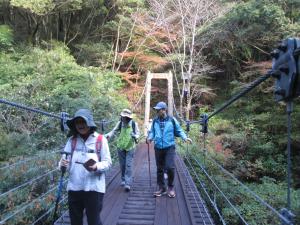 森の吊り橋