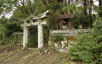 金比羅山頂の鳥居の写真