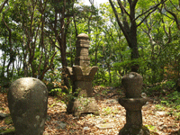 金泉寺の墓石群の真ん中に立っている墓石の写真
