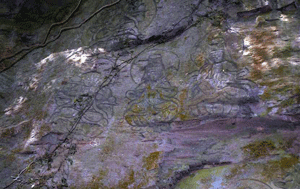 御手水観音の磨崖仏群が彫り込まれている石の写真