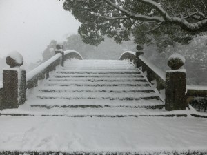 大雪の日の朝の画像