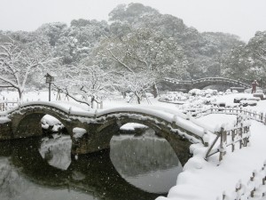 雪の親子眼鏡橋の画像
