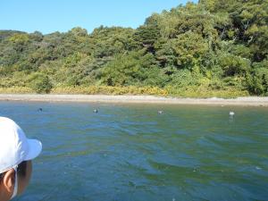 環境学習会の様子⑤