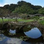 写真２：広報課提供DSC03504