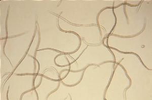 マツノザイセンチュウ