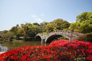 つつじと眼鏡橋の画像