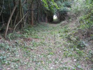 大越付近（諫早市高来町）の画像