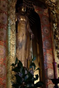 教専寺の木造阿弥陀如来立像の画像