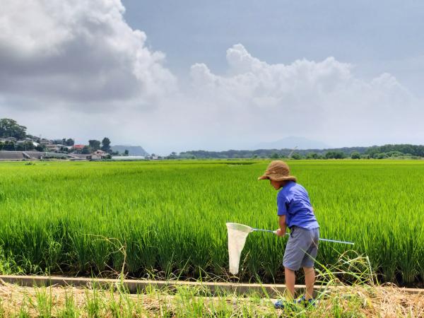 虫取り網を持って田んぼの横にいる子どもの写真