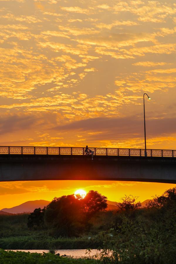 不知火橋で夕日を眺める人の写真