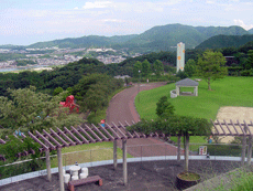 建物の屋上からの緑たくさんの風景を撮った写真