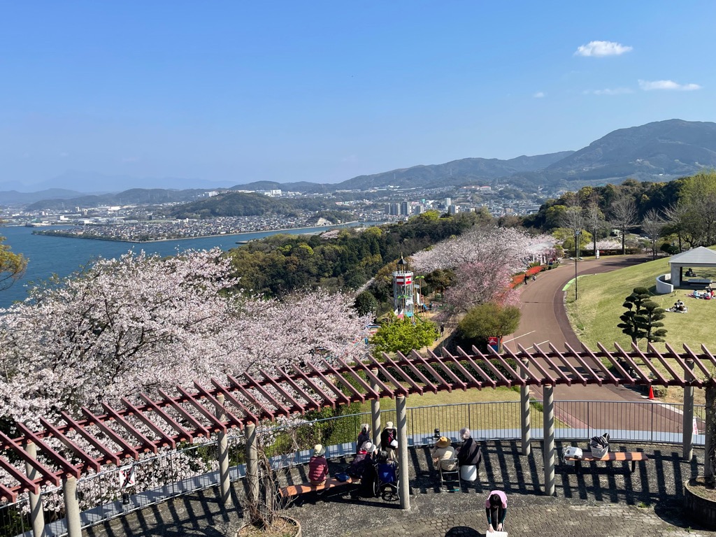 のぞみ公園の桜