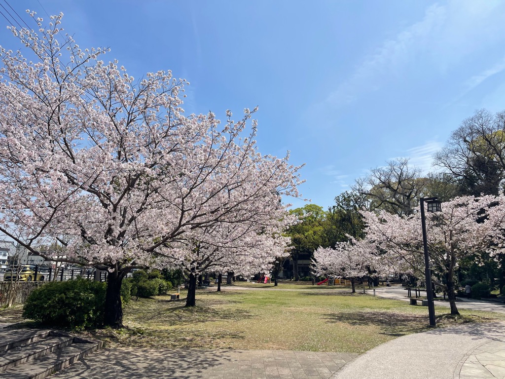 高城公園1