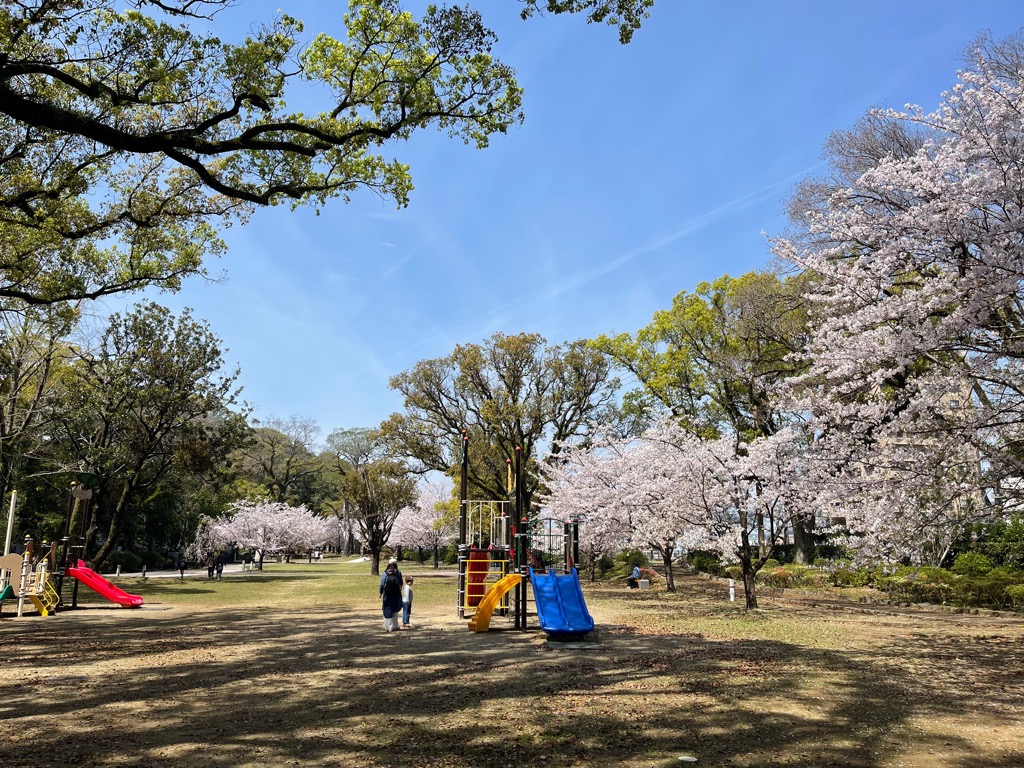 高城公園2