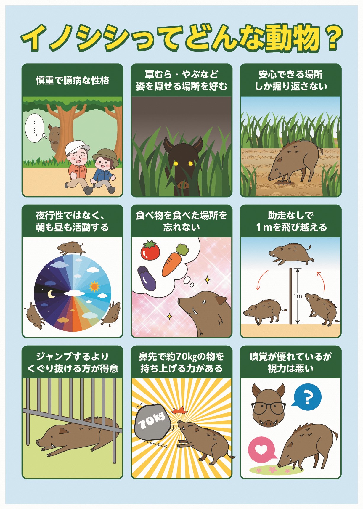 イノシシの特徴および生態