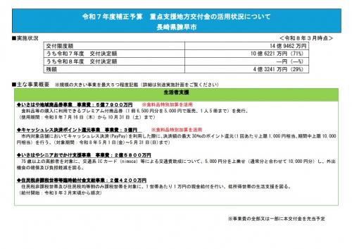 令和7年度補正事業　活用事業
