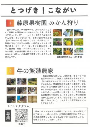 よかばかいやね!小長井新聞Vol.1裏