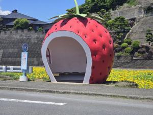 井崎バス停ひまわり写真3
