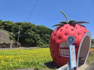 井崎バス停ひまわり写真5