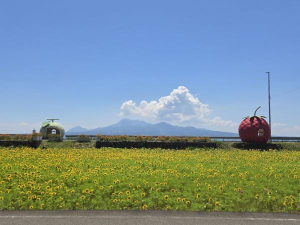 フルーツバス停写真1