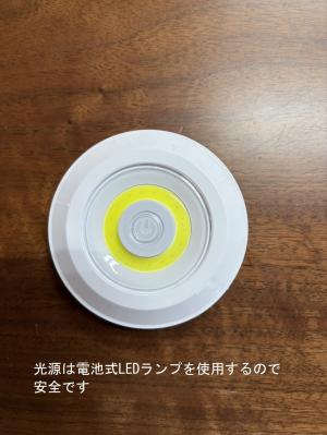 光源