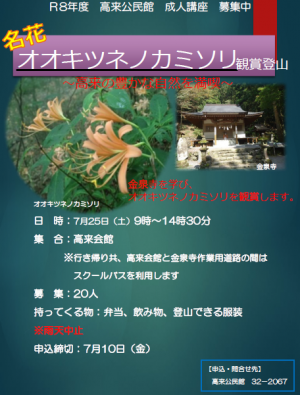 オオキツネノカミソリ