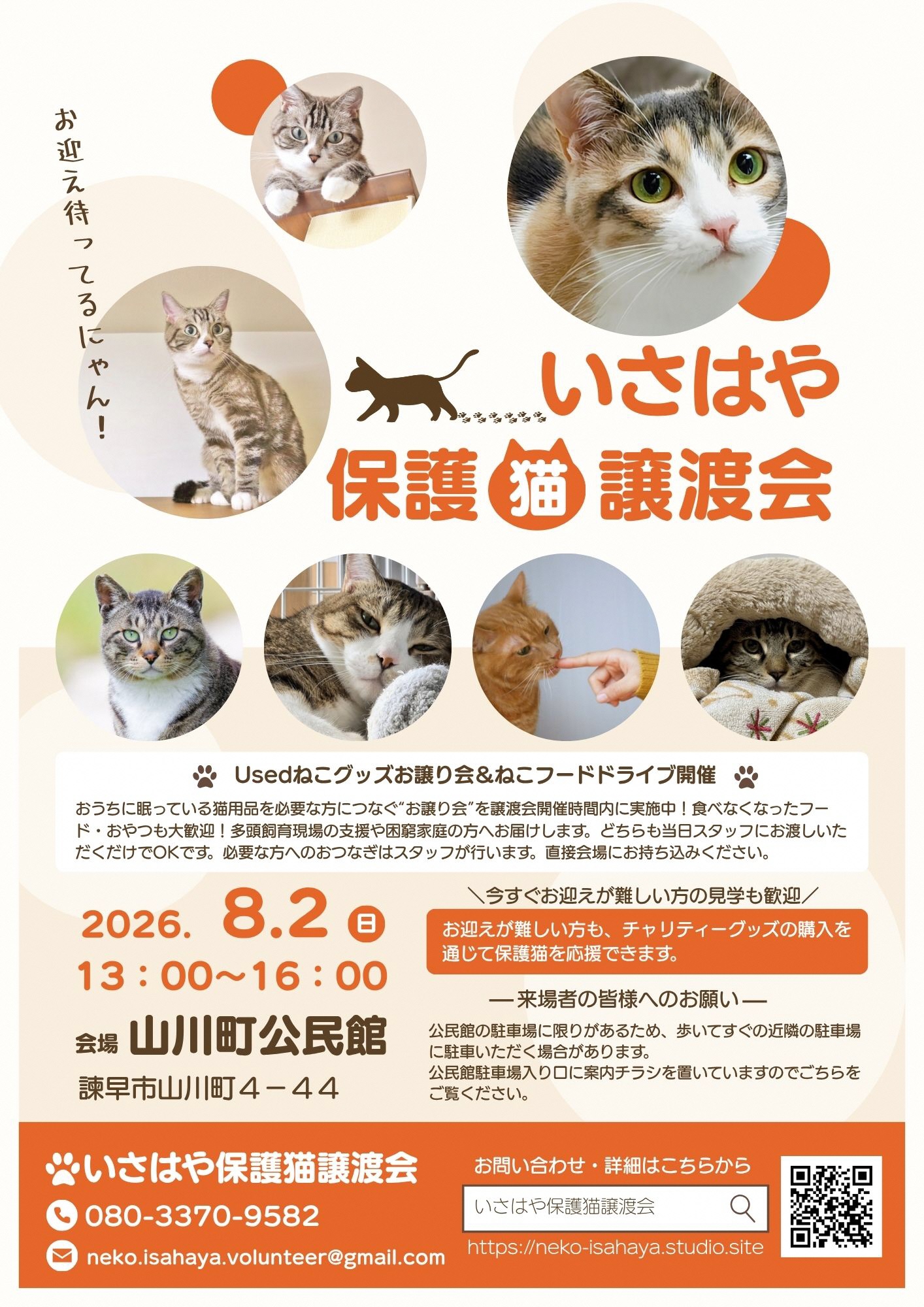 保護猫