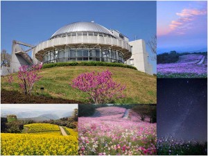 コスモス花宇宙館の外観、白木峰の菜の花畑やコスモス畑の組み写真