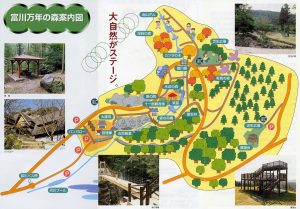 富川万年の森の案内図